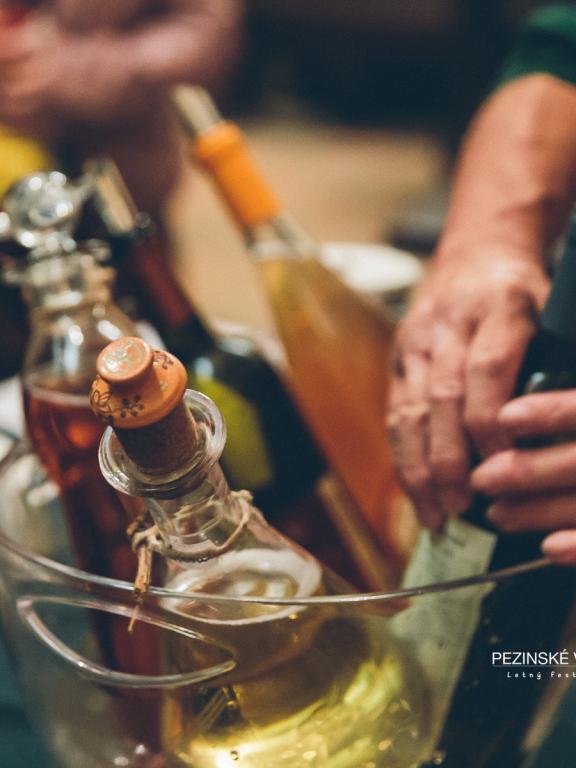 Pezinské vinné pivnice a dvory1
